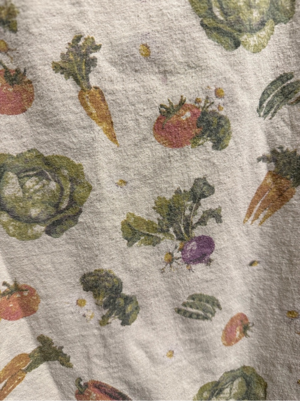 We The Free Cream Vegetable Print Oversized Tee - Picture 4 of 5